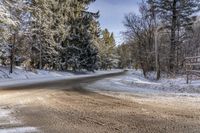 Canadian Nature Scene: Toronto Snowy Road