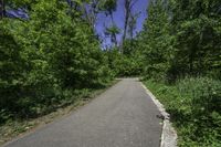 Canadian Nature: Tar Road Under a Clear Sky