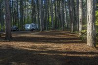 Canadian Open Space with Grass, Trees, and Vegetation