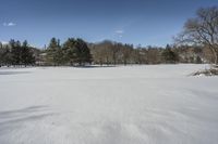 Canadian Open Space with Snow Covered Trees