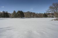 Canadian Open Space: Snow Covered Trees 004