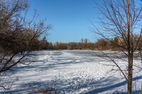 a small snowy lake surrounded by trees with lots of snow on it, and no one is standing