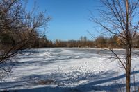 a small snowy lake surrounded by trees with lots of snow on it, and no one is standing