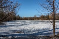 a small snowy lake surrounded by trees with lots of snow on it, and no one is standing