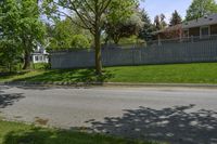 a sidewalk with green grass and a fence in front of a house with a large tree