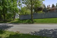 a sidewalk with green grass and a fence in front of a house with a large tree