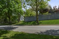 a sidewalk with green grass and a fence in front of a house with a large tree