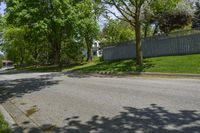 a sidewalk with green grass and a fence in front of a house with a large tree