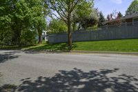 a sidewalk with green grass and a fence in front of a house with a large tree