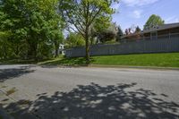 a sidewalk with green grass and a fence in front of a house with a large tree