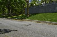 a sidewalk with green grass and a fence in front of a house with a large tree