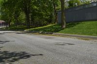 a sidewalk with green grass and a fence in front of a house with a large tree