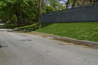 a sidewalk with green grass and a fence in front of a house with a large tree