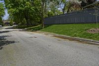 a sidewalk with green grass and a fence in front of a house with a large tree