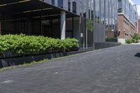 an umbrella is sitting outside an office building on a paved street corner with hedges and trees