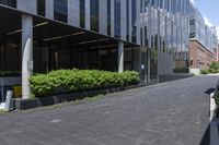 an umbrella is sitting outside an office building on a paved street corner with hedges and trees