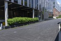 an umbrella is sitting outside an office building on a paved street corner with hedges and trees