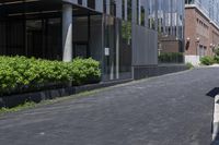 an umbrella is sitting outside an office building on a paved street corner with hedges and trees