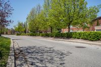 Canadian Residential Road under Clear Sky 002