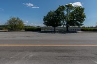 Canadian Residential Road: Trees and Grassy Landscape