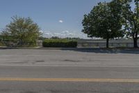 Canadian Residential Road: Trees and Grassy Landscape