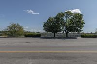 Canadian Residential Road: Trees and Grassy Landscape