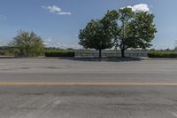 Canadian Residential Road: Trees and Grassy Landscape