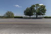 Canadian Residential Road: Trees and Grassy Landscape