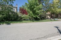 Canadian Residential Street Asphalt Day 001