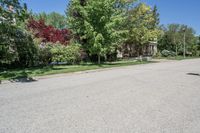 Canadian Residential Street - Asphalt Day