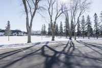 Canadian Residential Streets: Snow Covered and Serene