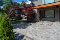 a modern home with landscaping in front of it and a red tree in the yard