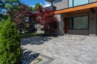 a modern home with landscaping in front of it and a red tree in the yard