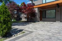 a modern home with landscaping in front of it and a red tree in the yard