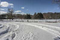 Canadian Road: Asphalt and Grass