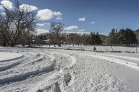 Canadian Road: Asphalt and Grass