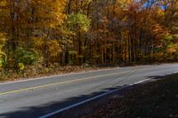 a person is riding their skateboard down a mountain road through fall foliages and pine trees