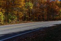 a person is riding their skateboard down a mountain road through fall foliages and pine trees