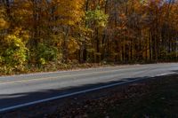 a person is riding their skateboard down a mountain road through fall foliages and pine trees