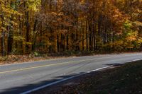 a person is riding their skateboard down a mountain road through fall foliages and pine trees