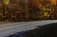 a person is riding their skateboard down a mountain road through fall foliages and pine trees