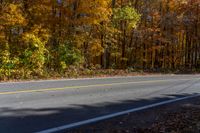 a person is riding their skateboard down a mountain road through fall foliages and pine trees