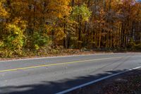 a person is riding their skateboard down a mountain road through fall foliages and pine trees