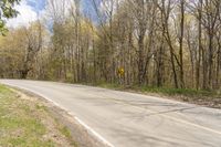 a roadway is empty of traffic near the trees of a lot of woods of bare grass