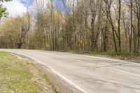 a roadway is empty of traffic near the trees of a lot of woods of bare grass