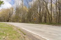 a roadway is empty of traffic near the trees of a lot of woods of bare grass