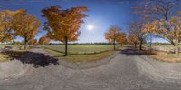 this is a fisheye photo of a road near a fence and trees that has fall colors