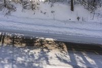 Canadian Road through Forest Snow: Nature Contrast 001