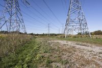 Canadian Road: Landscape of Nature's Beauty and Grass