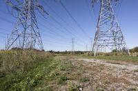 Canadian Road: Landscape of Nature's Beauty and Grass